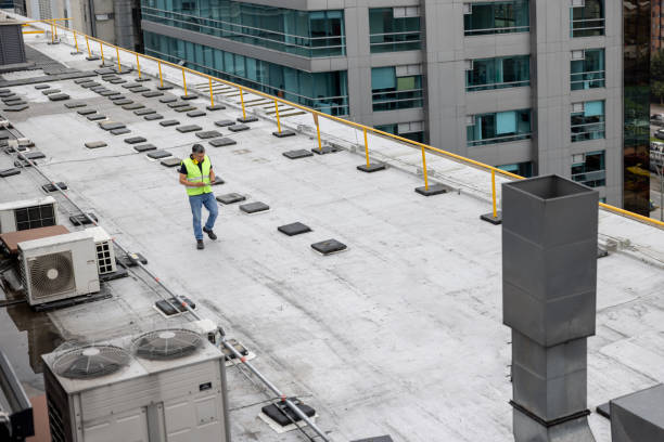 Best Roof Insulation Installation  in Piney Green, NC